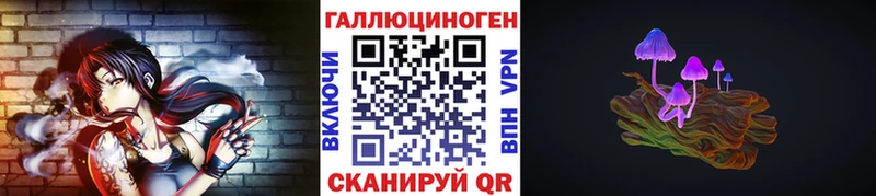 хочу наркоту  Мариинский Посад  Галлюциногенные грибы Psilocybe 